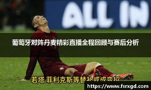 葡萄牙对阵丹麦精彩直播全程回顾与赛后分析